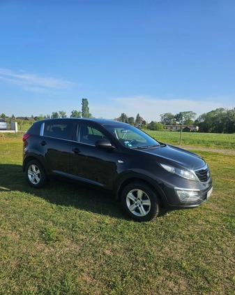 Kia Sportage cena 50500 przebieg: 215400, rok produkcji 2014 z Janów Lubelski małe 326